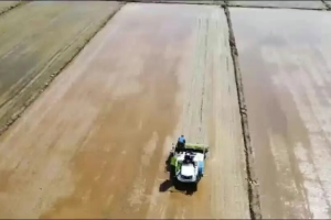 一亩地仅需几块钱！这家企业的插秧机火遍了全国