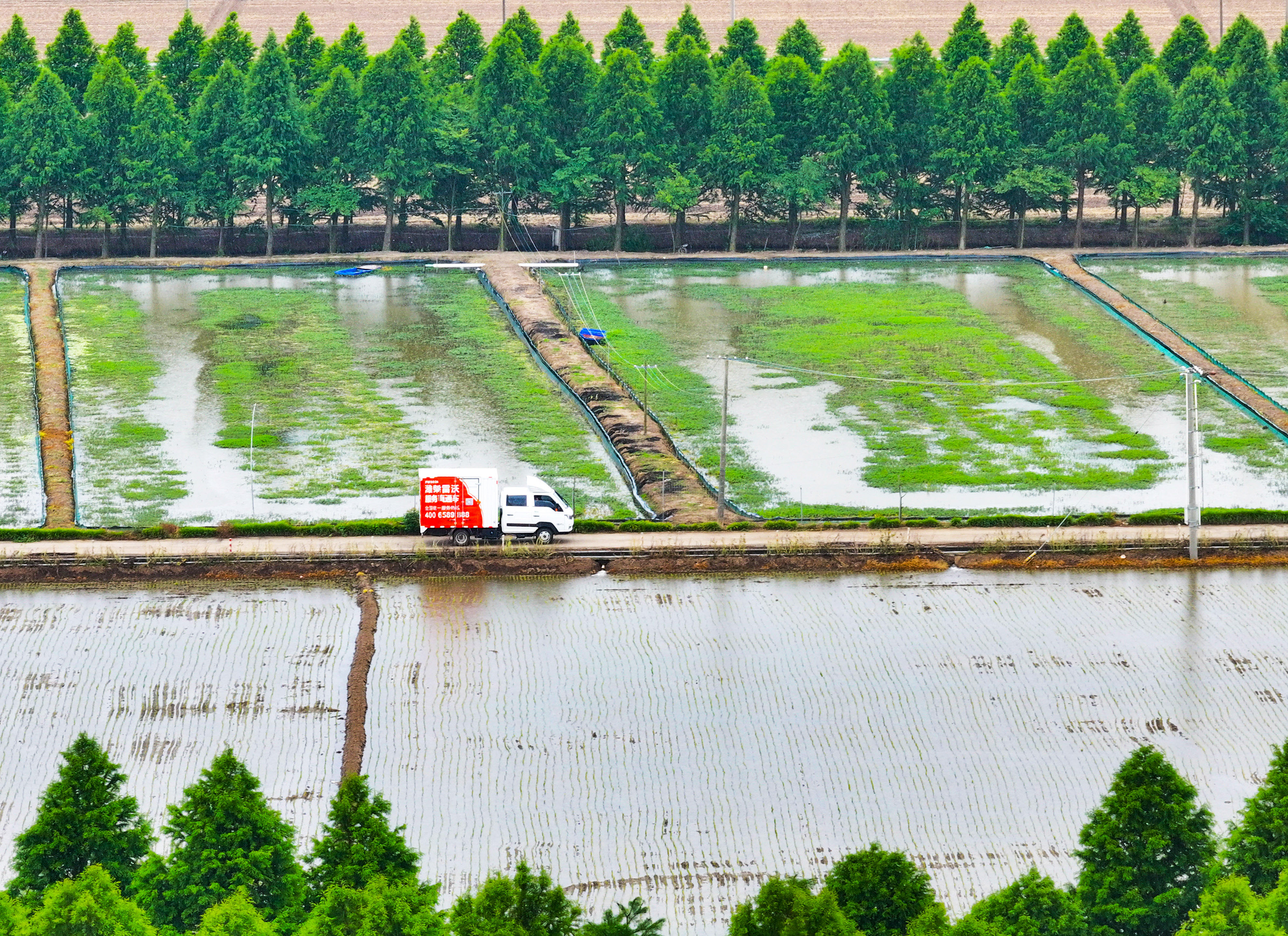 5潍柴雷沃服务直通车