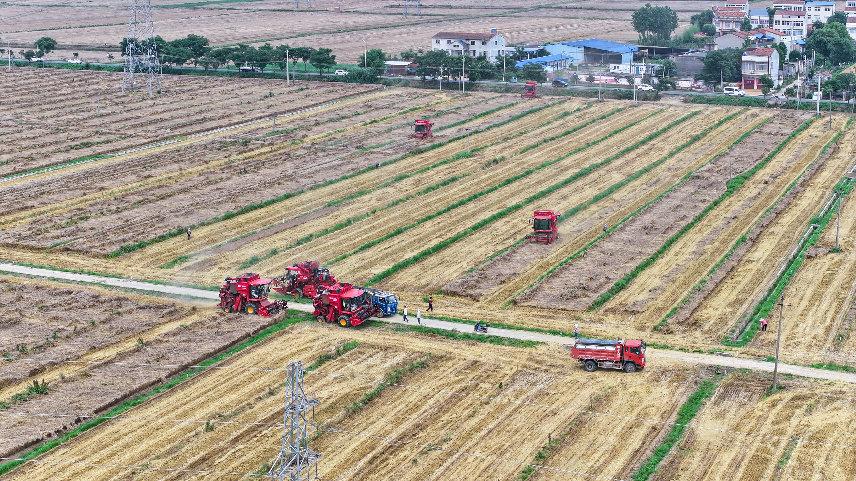 1-DJI_20260527141128_0556_D.JPG