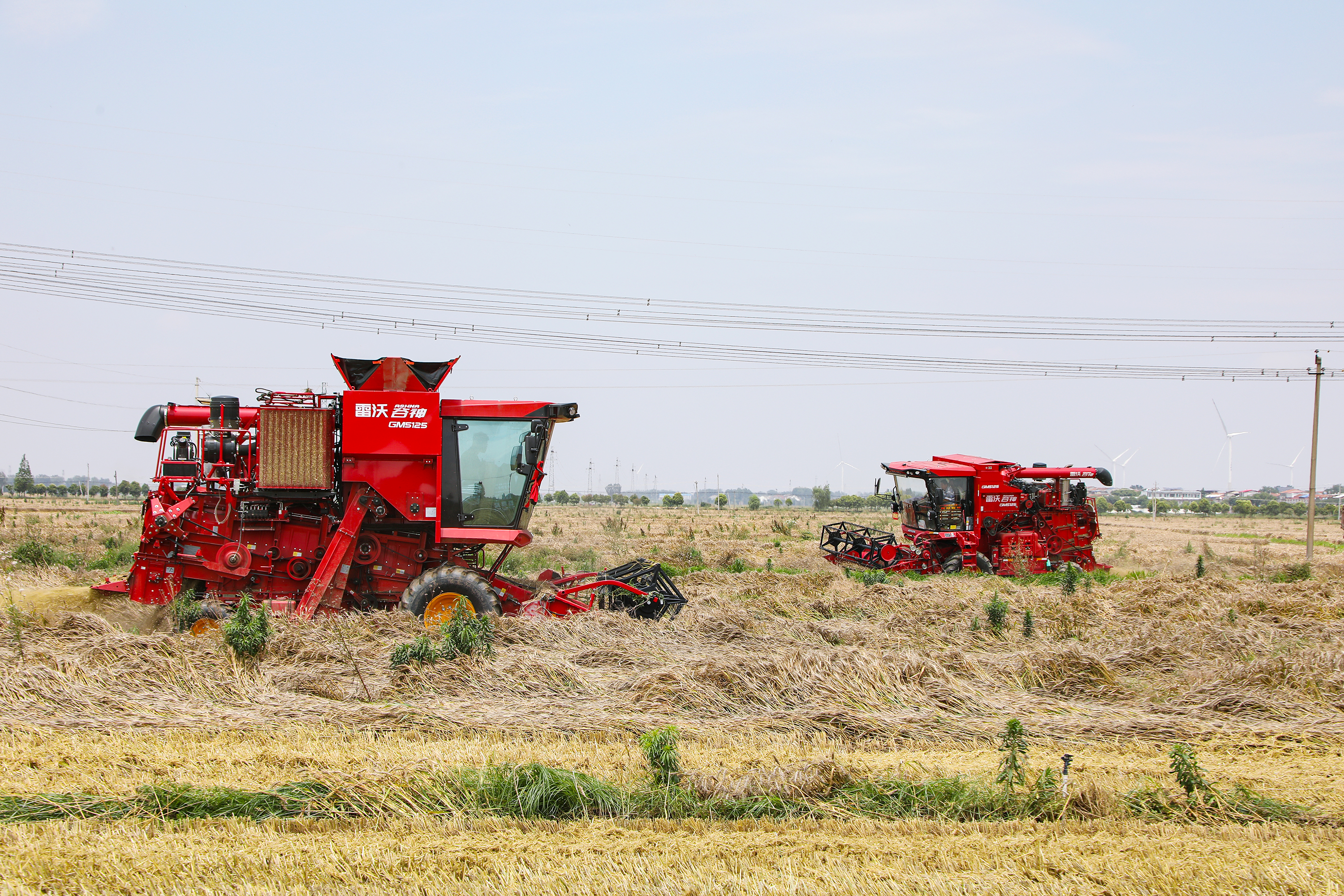2.雷沃谷神GM5125收割机作业.JPG