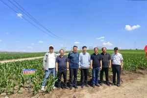 三方联动打造高产样板 德邦大为播种机助力兴安盟农技推广落地