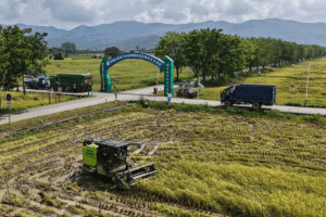 机器可靠，服务随行！中联重科全力护航跨区“双抢”