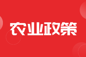 2026年河北省强农惠农政策明白纸