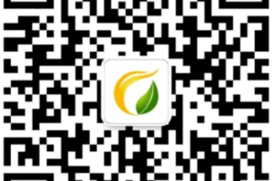 倒计时15天！CBG 2026 第四届中国生物质供热、发电与绿色零碳园区大会暨展览会即将召开