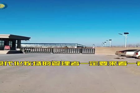 斯维垦推料机器人黑龙江大庆新合牧场案例