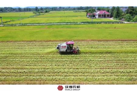 稻香随风，沃得农机为耕者谋利，以高品质的产品服务现代农业生产