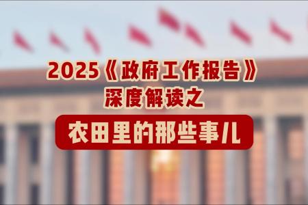 2025《政府工作报告》深度解读之农田里的那些事儿