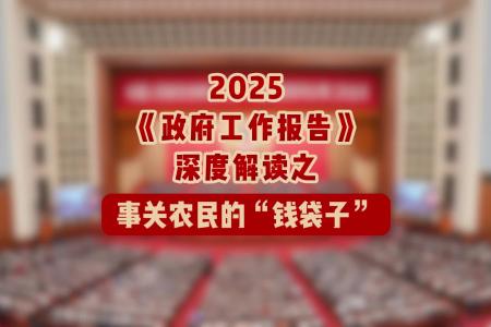 2025《政府工作报告》深度解读之事关农民的“钱袋子”