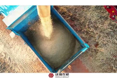 沃得农机尊享pro无驾驶室收割机收大麦作业现场