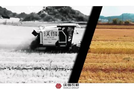 沃得农机旗舰pro收割机收割小麦作业现场