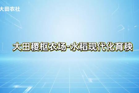 大田稷枢农场-水稻现代化育秧，用科技为农业赋能！