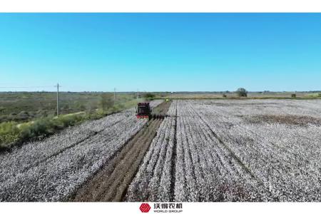 沃得四行采棉机作业现场