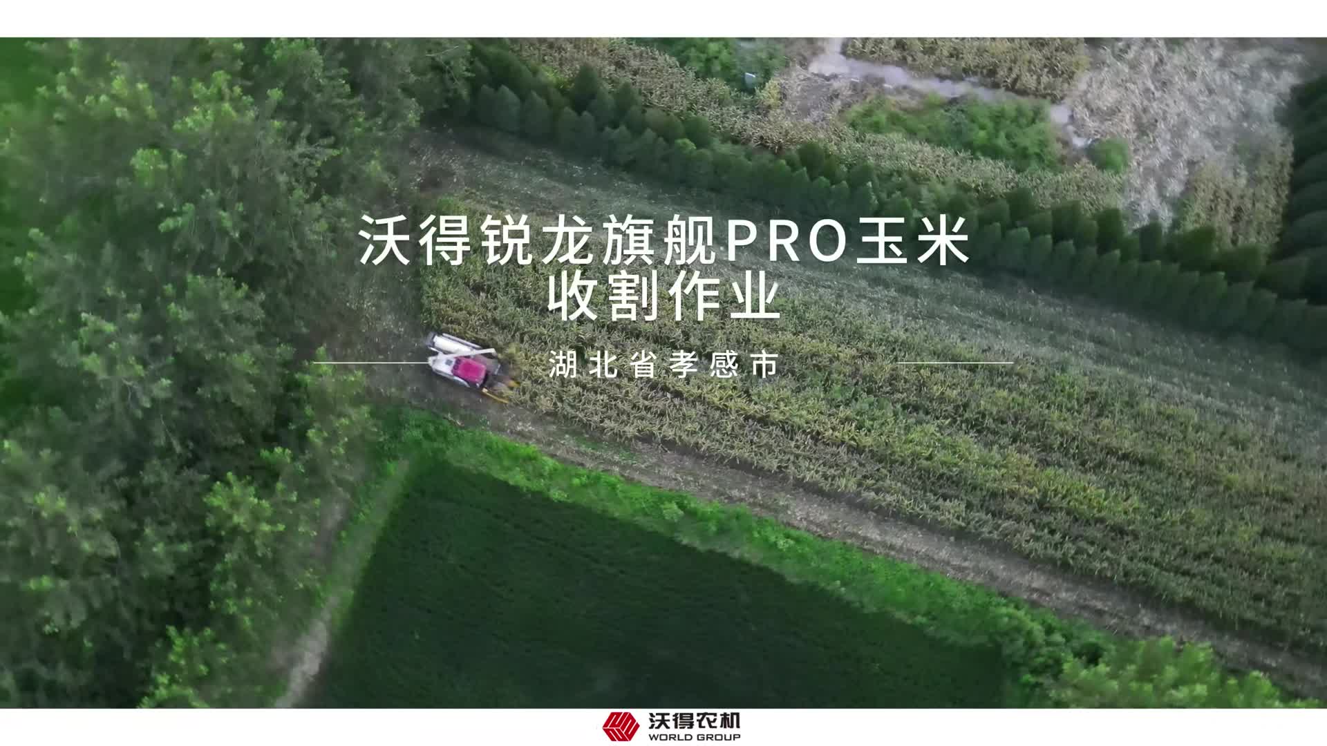 沃得锐龙旗舰PRO玉米收割作业现场