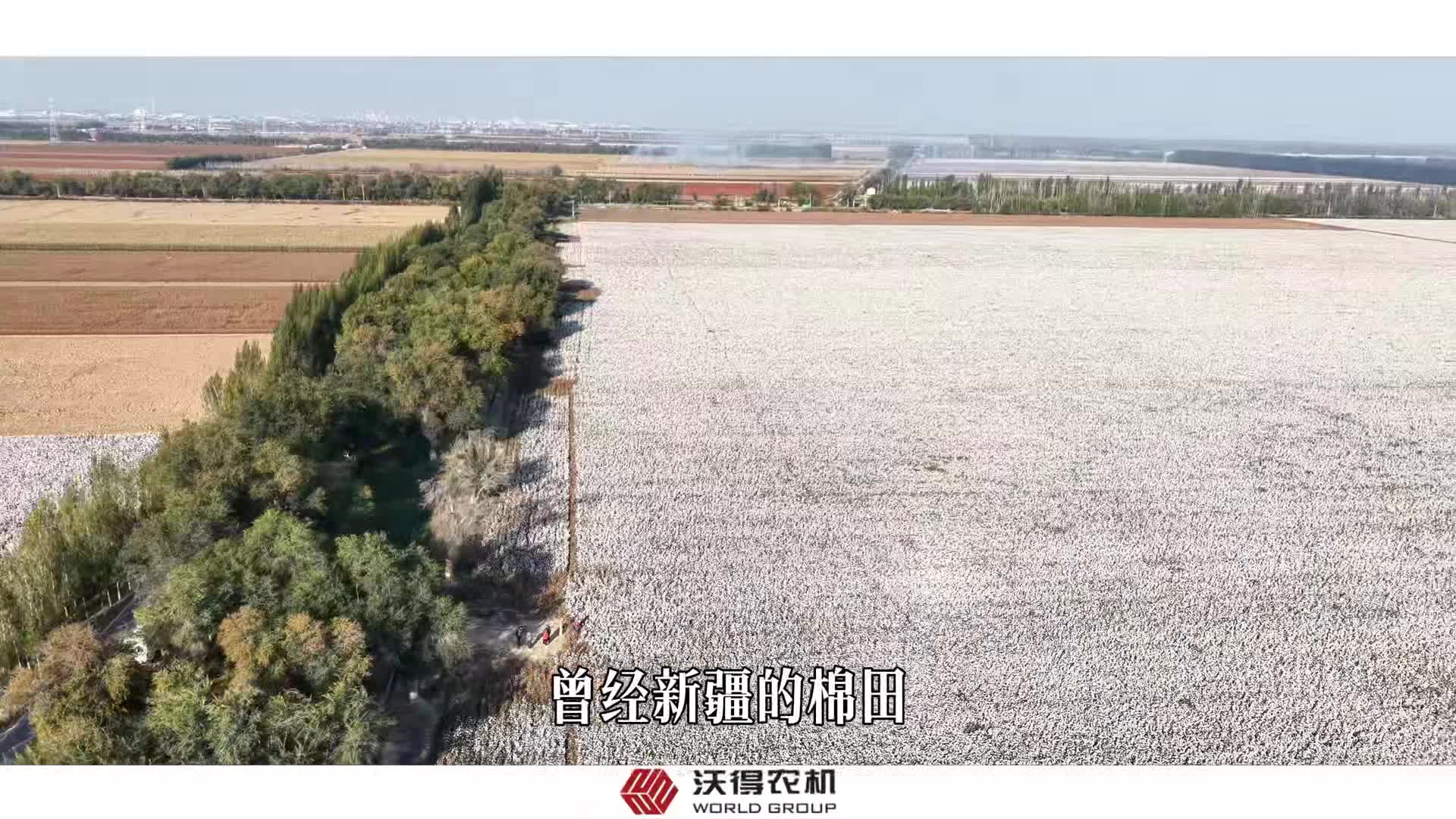 沃得采棉机助力新疆棉花把丰收的希望种在更轻松的田野上