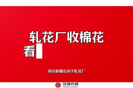 探访新疆石河子轧花厂：轧花厂收棉花，看采棉机品牌吗？