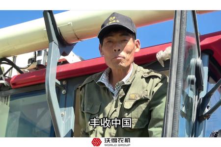 沃得巨龙收割机收倒伏作业现场