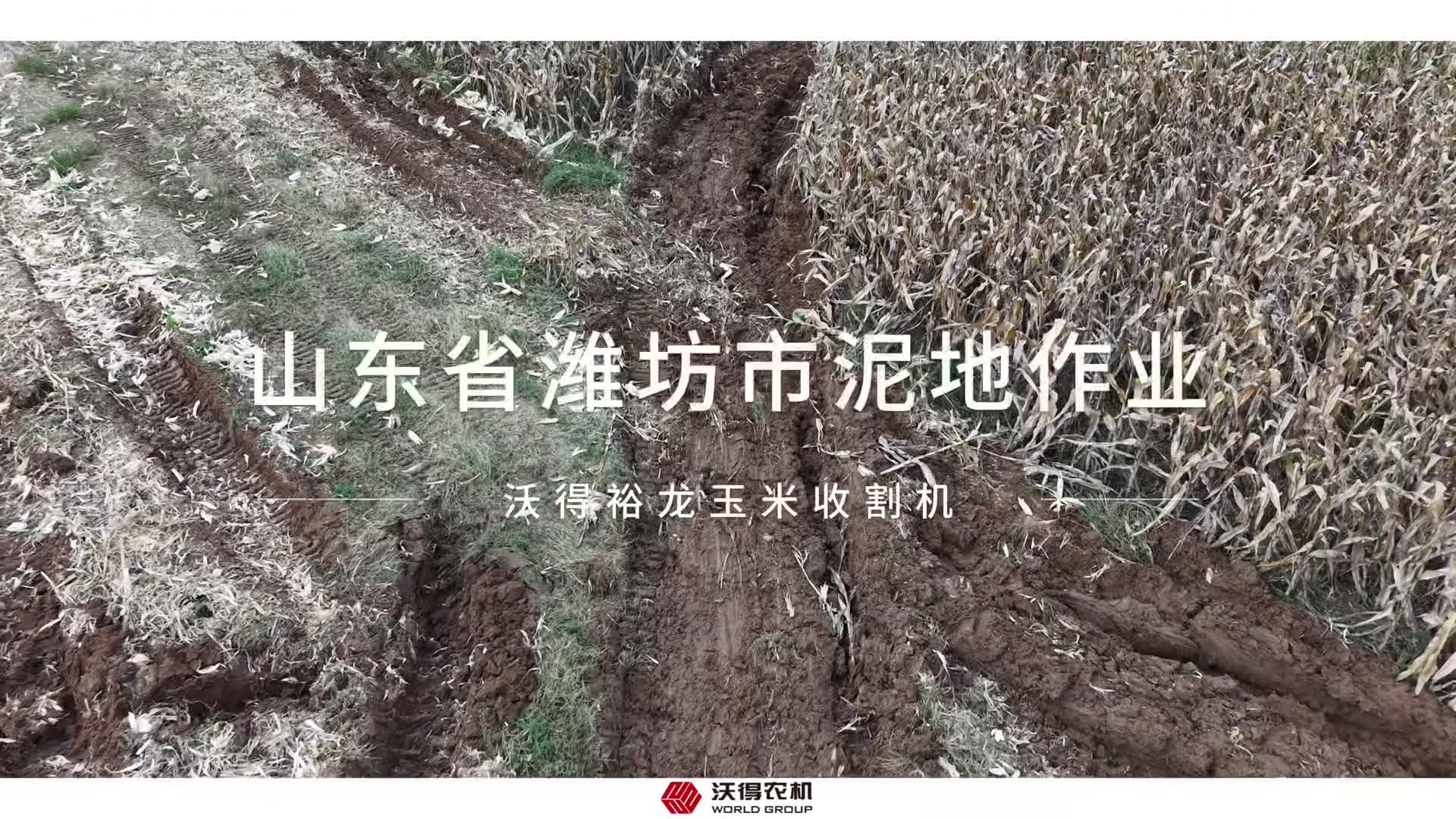 沃得裕龙玉米收割机山东省潍坊市泥地作业现场