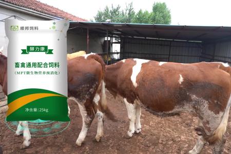 顺邦酵力康蓄禽通用配合饲料