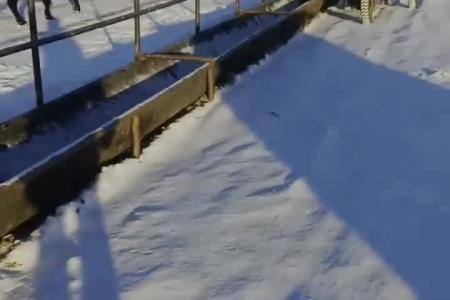 电动撒料车 牛羊饲料投料车