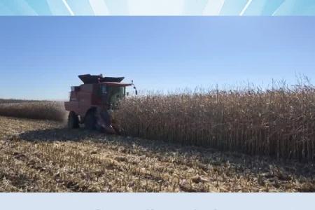 中粮选农机就得选耐用的！