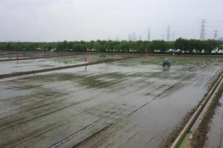 智能植保作业视频