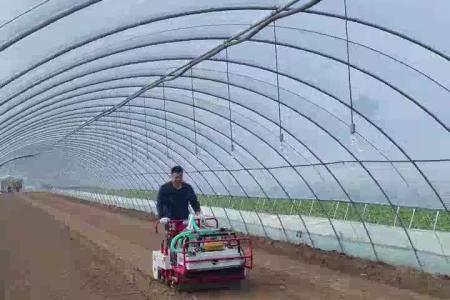 大顺平地气吸油菜播种机