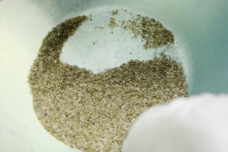 凯若特种子丸粒机 超低温种子丸粒化 一机多用