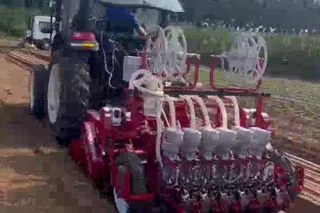 大顺原来的好上海青精播机