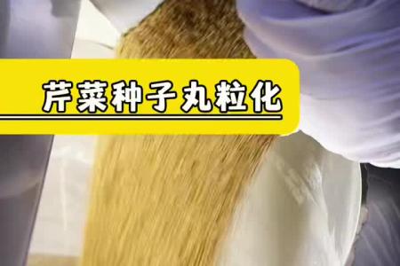 凯若特种子丸粒化 增大种子粒径 助力机械化精播