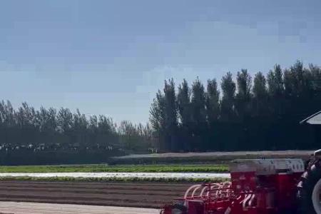 大顺大型气吸青梗菜播种机
