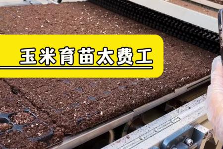 凯若特全自动穴盘播种机 蔬菜育苗机 