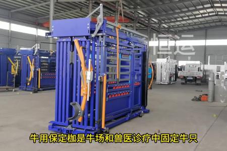 牛用保定架#新型保定枷