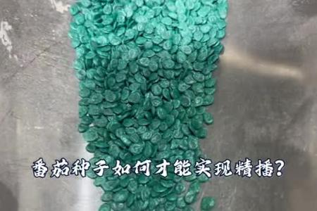 凯若特一克种子一亩地，种子丸粒化到底值不值