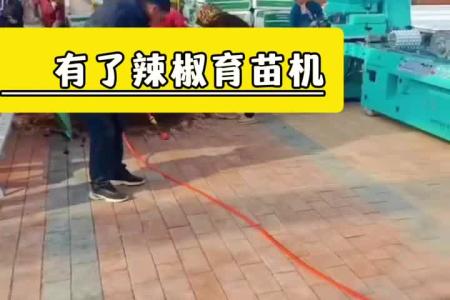 凯若特穴盘育苗流水线 3~4人可操作 一机多用