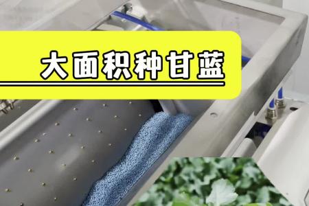 凯若特穴盘育苗机 瓜果蔬菜都适用 一小时1200盘