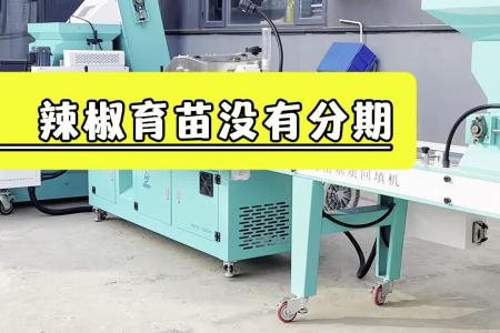 凯若特全自动穴盘育苗机 装盘 刮平 压穴 播总 二次盖土 刮平 全程机械化