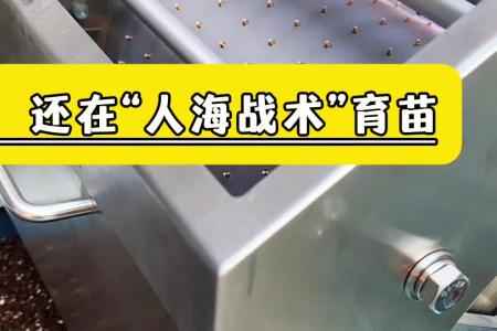凯若特穴盘育苗播种机，220v家用电源 操作简单 移动方便