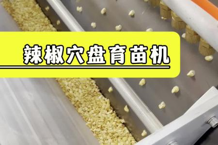 凯若特辣椒穴盘播种机 国标穴盘通用 每小时1200盘起