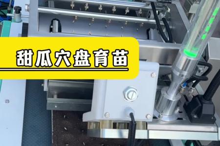 凯若特番茄穴盘播种机 自动化育苗播种流水线 点播精准度高