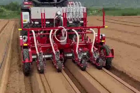 大顺两垄八行气吸大白菜播种机