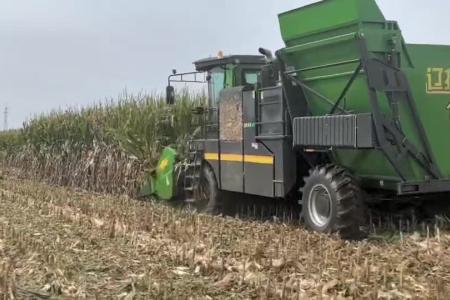 辽拓大益玉米收割机现场作业