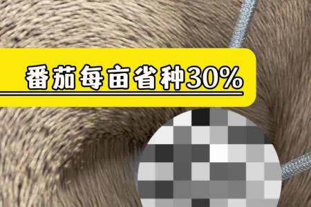 凯若特批量式种子丸粒化 一机多用 操作简单 
