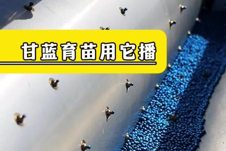 凯若特全自动气吸蔬菜播种机 国标塑料穴盘通用