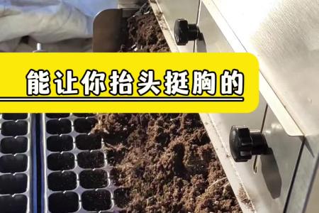 凯若特全自动穴盘播种机 滚筒育苗机 一机多用