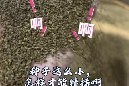 凯若特种啥都能编，省种一半还省心