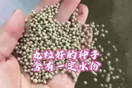 凯若特智能种子烘干房，种子怎样烘干不受影响
