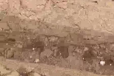 大顺气吸胡萝卜播种机一穴一粒效果