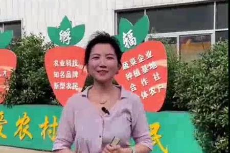 大顺气吸芹菜播种机