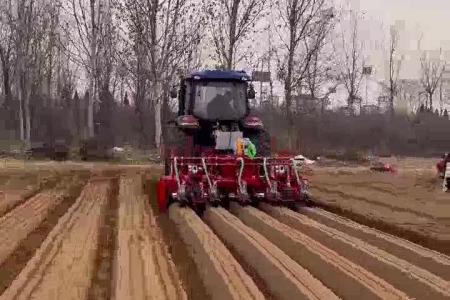 大顺大型拖拉机牵引气吸蔬菜播种机