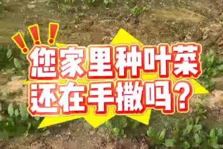 大顺大棚平地气吸蔬菜播种机
